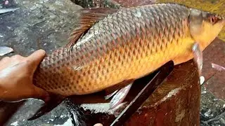 Mastering Rohu fish cutting ||  Techniques  for perfect fillets|| precious Guide