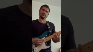 Lundgren pickups in all positions