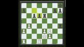 Fair play policy Mpl speed chess