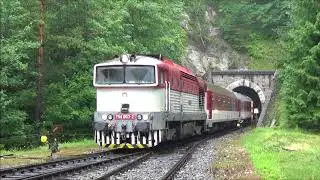 Brejlovci na Slovensku