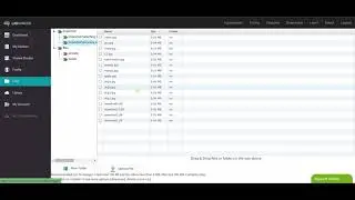 The Files Tab