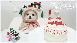 메리 크리스마스! 강아지 케이크 만들기