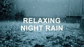 Rainforest Rain Sounds for Sleeping or Studying  White Noise Rainstorm 10 Hours
