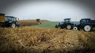 Kukurydza 2019 ☆ New Holland TC 5070 & NH T6080 | T5060 | TD5.85 | Wtopa przyczepy ★Podkarpacie★