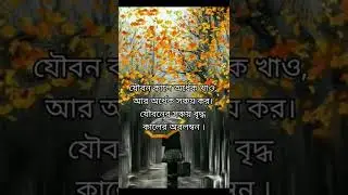 Powerful Success Motivational Video In Bengali | success quotes status | shammis motivation #shorts