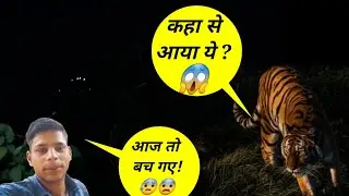 aajkal gaon mein bagh ka aatank !! leopard attack in my village ! Pahadilifestylevlog
