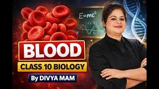 Blood | Class 10 Biology | Complete Chapter Explained by Divya Mam