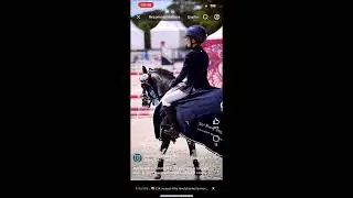 Lays'viz Jeen Krystal Lays étalons Finale SHF CSO 4 ans B Réel SHF