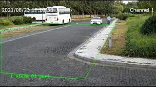 Tiandy Human & Vehicle Classification Demo