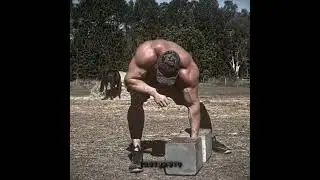I'm here to remind you this guy is 6'8 and 400lbs.. #gymmotivation #weightlifting #tomhaviland #fyp