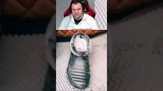 Петренто галоши #петренто #petrento #прикол #приколы #мем #мемы #юмор #смех #memes #funny
