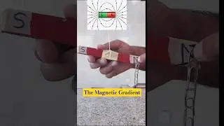 🧲💥 Exploring Magnetic Force Distribution Along a Magnet #experiment #science #automobile