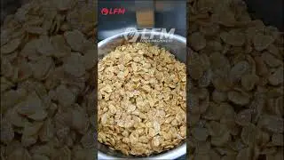 Broad Bean Frying Machine,Fava Bean Frying Line #broadbean #broadbeans #favabeans #favabean