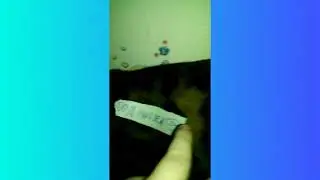 Tin lol 2