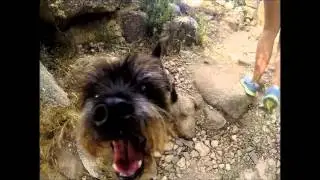 Calvi 2014 all in gopro