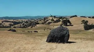 SP-404 set in the golden hills of California