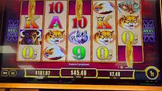 Buffalo Gold + Buffalo Lightning slot session at Two Kings Casino 🎰🦬⚡