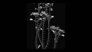 |FREE| soundcloud Type Beat - 