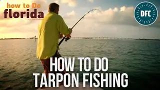 Tarpon Fishing in the Florida Keys
