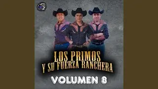 Oportunidad (Live)