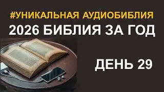 День 29. Библия за год. Библейский ультрамарафон портала &laquo;Иисус&raquo; 2026