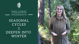Seasonal Cycles :: Deepen Into Winter