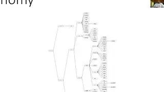 A Language for Building Cognitive Systems by Michael S P Miller