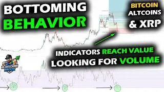 Bottoming Behavior for Bitcoin, XRP Price Chart, & Altcoins as Oversold Conditions Meet Price Levels