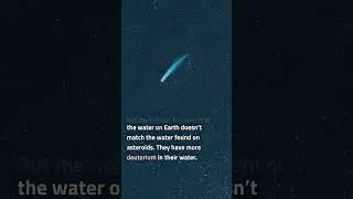 What is the true origin of the water on Earth?