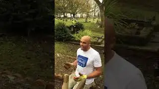 Cemetery Clean-Up at Greenacres, Oldham | Friends of the Deceased | 13 November 2016