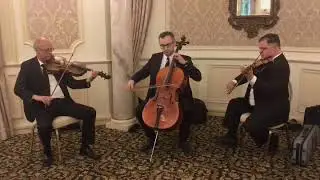 String Trio - Air on G - J.S. Bach - Violin, Cello