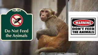 Please do not feed the wild animals!!!