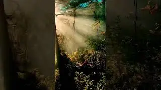 #nature #journey #adventure #vacation #newpath #amazingplaces