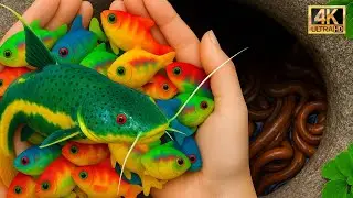 Discovering Exotic Fish in a Hidden Bamboo Forest Pond &ndash; Eels, Koi, Snails & More