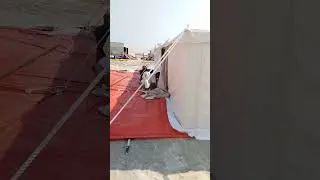 Doha Qatar home ceiling beach