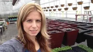 Fun Red Planters with Deb