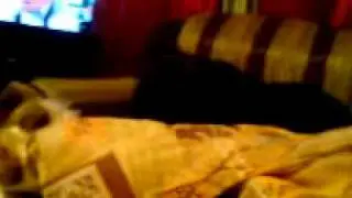 MOV00957