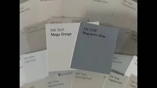 Neutral Gray Color Selection Help Simplified