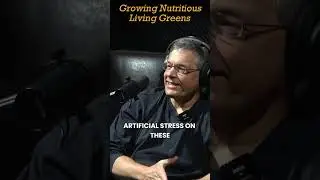 In hydroponics farming they treat the plants like athletes