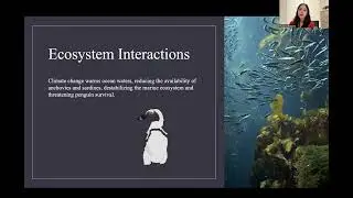 Ecological Interaction Project Guide