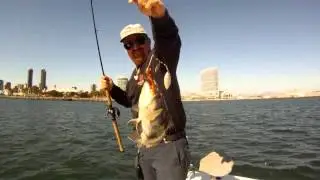 Phenix Baits - Featuring Captain James Nelson