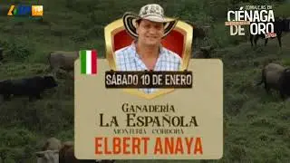 Lanzamiento Corralejas de Ci&eacute;naga de Oro 2026.