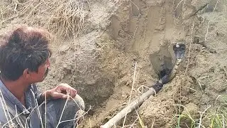 How to Catch a Cobra Snake  Safe Snake Rescue Tips | Wild Jogi Tv