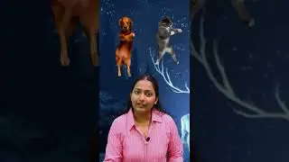 Zoophobia | A-Z Phobia | Types of phobia | Fear of animals | #phobia #goalon