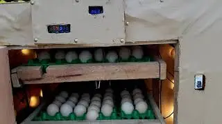 Egg incubator: make 240 chicks on your own ( Incubator ituraga amagi 240 yose)