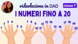 I numeri fino a 20. Matematica classe 1°