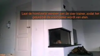 Blaffen afleren als de deurbel gaat - maak de deurbel leuk voor de hond