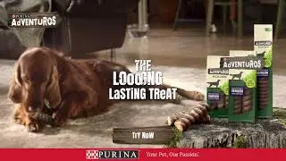 NEW AdVENTuROS (TM) Wild Chew long-lasting dog treat with Venison