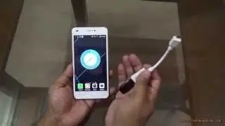 Does the Xolo Q1200 support USB OTG?