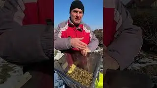 Електричний садовий подрібнювач ножового типу Ryobi